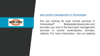 Pest Control Management In Homestead  Bestpestprofessionals.com