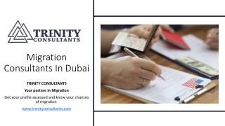 Migration Consultants In Dubai_