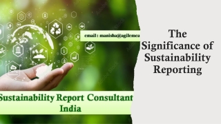 The Significance of Sustainability Reporting