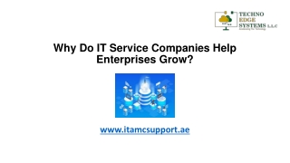 Why Do IT Service Companies Help Enterprises Grow