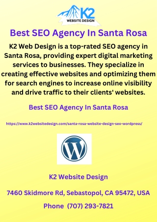 Best SEO Agency In Santa Rosa