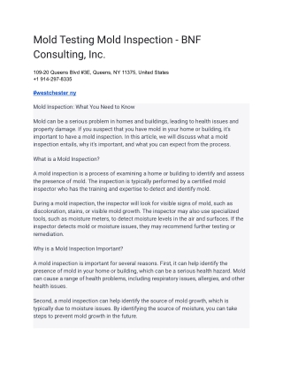 Mold Testing Mold Inspection - BNF Consulting, Inc (1)