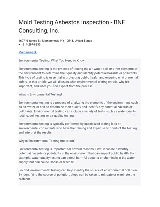 Mold Testing Asbestos Inspection - BNF Consulting, Inc