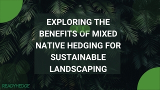 Exploring the Benefits of Mixed Native Hedging for Sustainable Landscaping