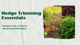 Hedge Trimming Essentials