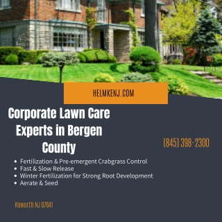 Corporate Lawn Care Experts in Bergen County