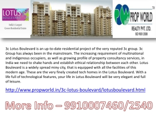 9910007460,3C Lotus Boulevard Noida ,Lotus Boulevard sector