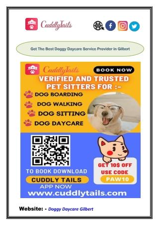 Get The Best Doggy Daycare Service Provider in Gilbert