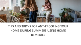 Tips and Tricks for Ant-Proofing Your Home During Summers Using Home remedies1.