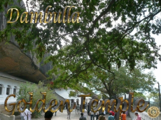 Sri Lanka Dambulla, Golden Temple5