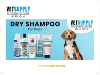Aloveen Dog Shampoo | Dog Shampoo | Dry Shampoo For Dogs | VetSupply