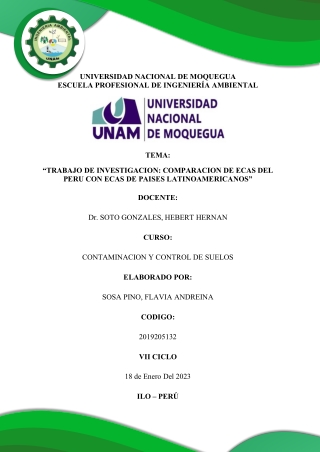 ECA PERU Y ECAS DE PAISES LATINOAMERICANOS - SOSA PINO FLAVIA