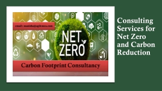 Consulting Services for Net Zero and Carbon Reduction