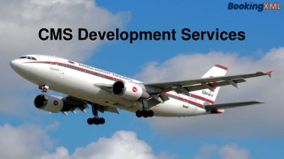 CMS Development Services