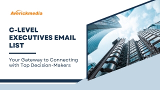 C-Level Executives Email List