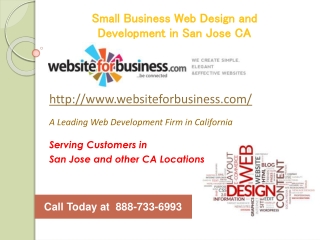 Small Business Web Design Development in San Jose CA