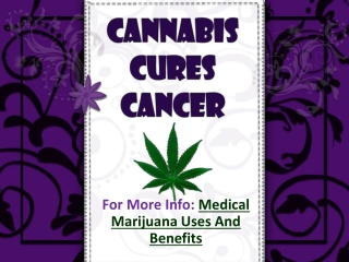 Cannabis Cures Cancer