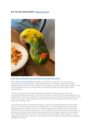 YELLOW FACED PARROT