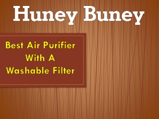 Best Air Purifier With A Washable Filter