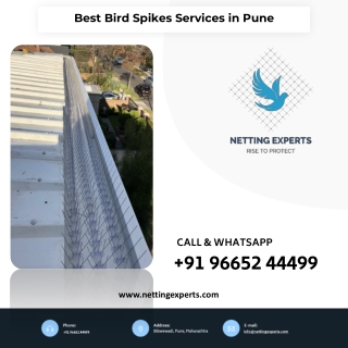 Best Bird Spikes Services in Pune - Call Now 9665244499