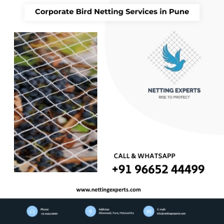 Corporate Bird Netting Services in Pune - Call Now 9665244499