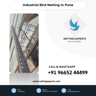 Industrial Bird Netting in Pune - Call Now 9665244499