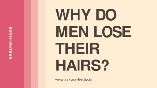 Why do men loose hair