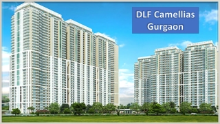 Luxury Service Apartment for Rent in Gurgaon | DLF Camellias