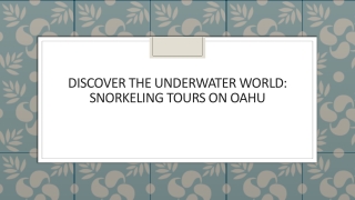 Discover the Underwater World Snorkeling Tours on Oahu