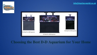 Choosing the Best D-D Aquarium for Your Home