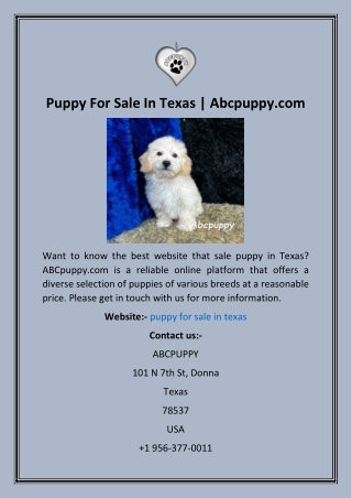 Puppy For Sale In Texas  Abcpuppy