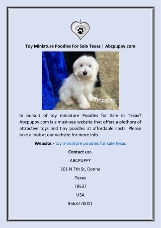 Toy Miniature Poodles For Sale Texas  Abcpuppy