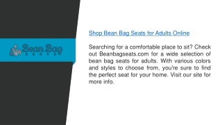 Shop Bean Bag Seats For Adults Online  Beanbagseats.com
