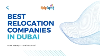 best relocation companies in dubai