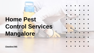 Home Pest Control Services Mangalore