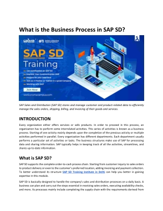 What is the Business Process in SAP SD?
