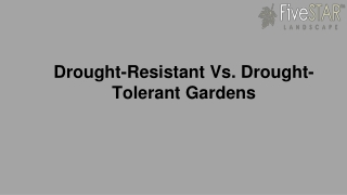 Drought-Resistant Vs. Drought-Tolerant Gardens