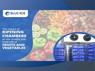 The Impact Of Ripening Chambers On The Quality And Shelf Life Of Fruits And Vegetables