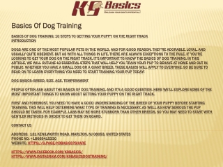 Basics Of Dog Training