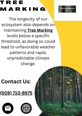 Tree Marking - Global Forest Resources