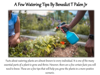 A Few Watering Tips By Benedict T Palen Jr