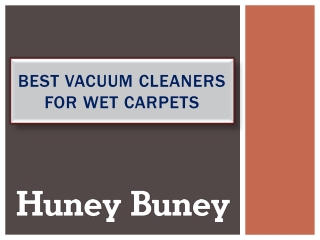 Best Vacuum Cleaners For Wet Carpets