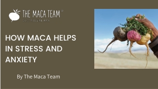 How Maca Helps In Stress And Anxiety