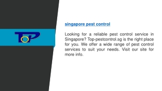 Singapore Pest Control  Top-pestcontrol.sg (1)