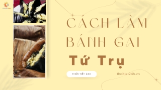 Cách làm bánh gai tứ trụ