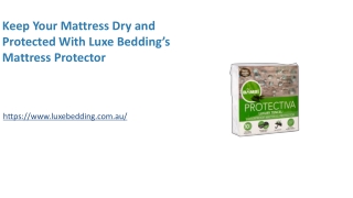 Keep Your Mattress Dry and Protected With Luxe Bedding’s Mattress Protector