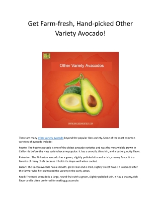 Get Farm Fresh Hand Picked Other Variety Avocado