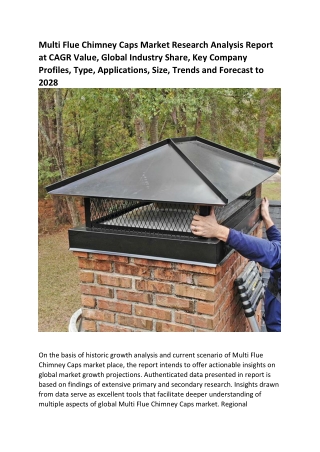 Multi Flue Chimney Caps Market