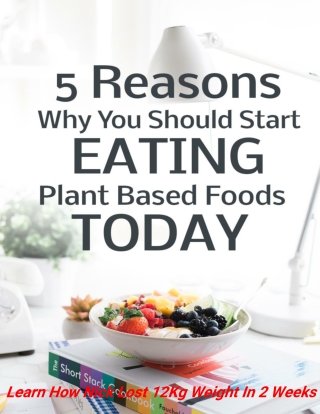 5 Reasons Why You Should Start Eating Plant Based Foods Today