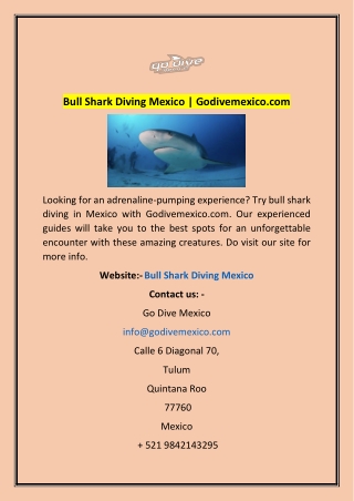 Bull Shark Diving Mexico | Godivemexico.com